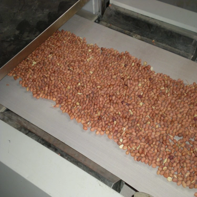 CE Certified Conveyor Belt Type Food Powder Dried Fruit Condiments Snacks Tea Tableware Drying Sterilization Equipment