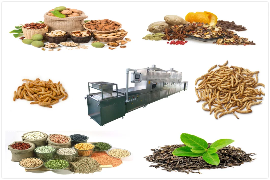 CE Certified Conveyor Belt Type Food Powder Dried Fruit Condiments Snacks Tea Tableware Drying Sterilization Equipment