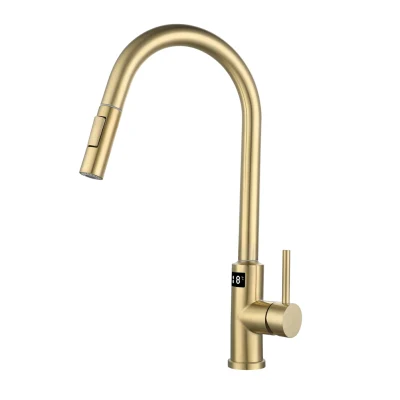 Brushed Gold Brass Material Hot Cold Water Smart LED Digital Display Temperature Kitchen Sink Faucet Pull Down Sprayer